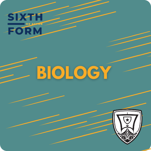 btn biology